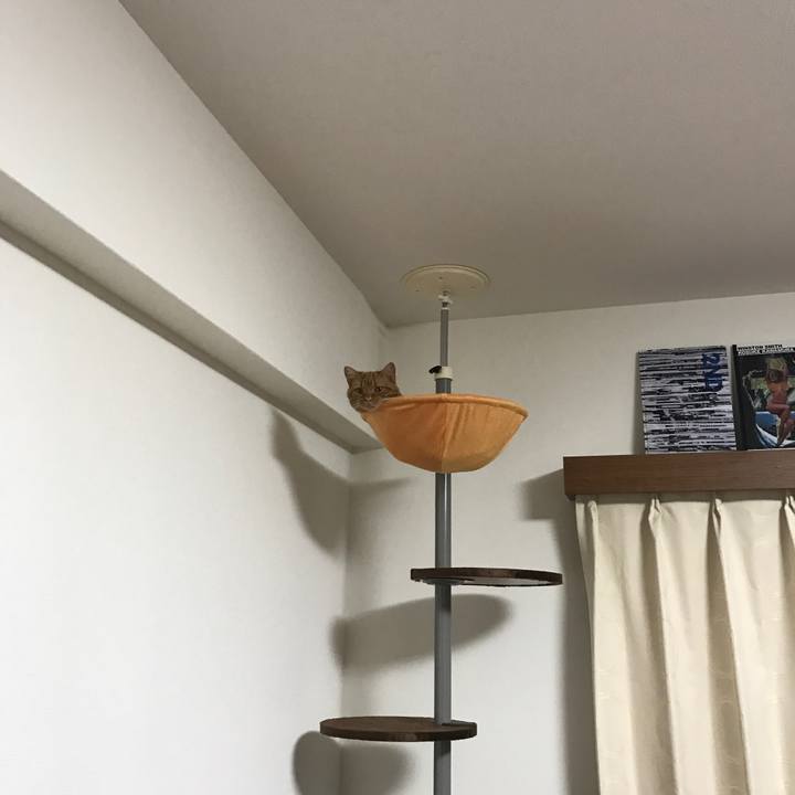 9a3c056e 0f12 42ea 9af9 5c065ea342ae 1520342084903