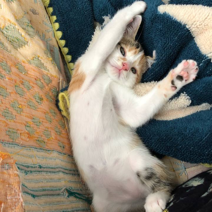 9a3c3e15 ee04 4fcc 80eb 4db297377b27 1562468564895