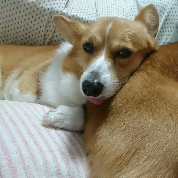 9a3c7373 d7d1 4217 a855 fa4a9382a50d 1510661525295