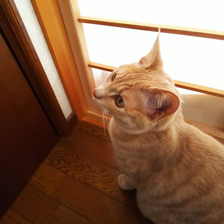 9a3c96e2 09ca 406b a19c 2b791a3ccf0d 1553994665415