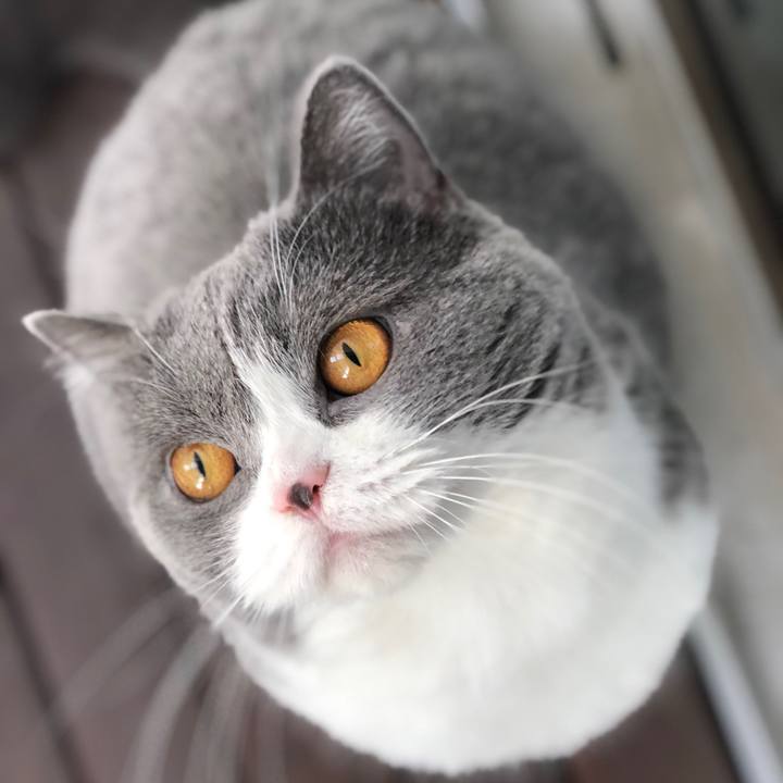 9a3cb325 f49f 4cb6 b835 52acfbf8a38b 1512817365369