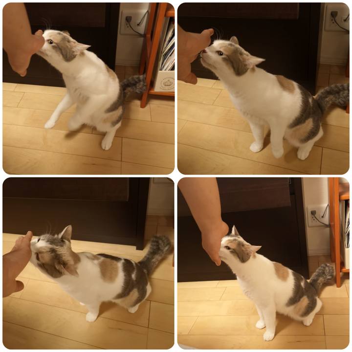 9a3cba8c a206 4d3d bde1 32b38222a2f4 1557932880712