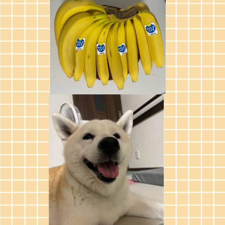 9a3cd1cf 7ebb 4848 8ae2 2859b47f10c6 1661087975689