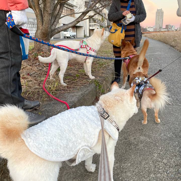 9a3cf96a abcd 4a62 a259 1c5da16baba0 1638157507387