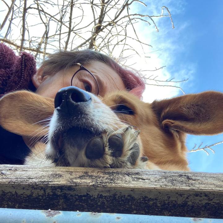 9a3d2c47 1385 4eb2 b6c0 c25be2a3b4b3 1734494416484