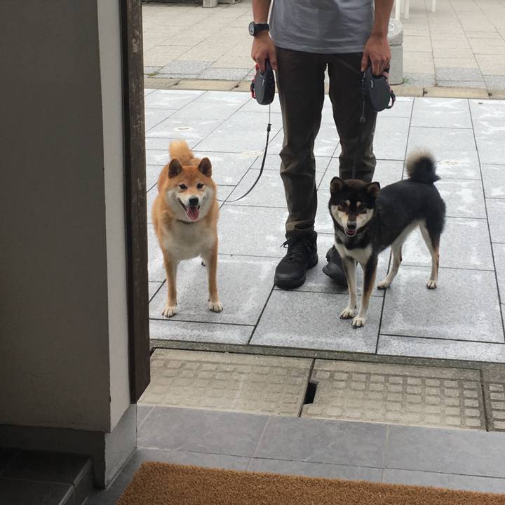 9a3d3143 b424 4c53 bbcb d75806487c6f 1567395336899