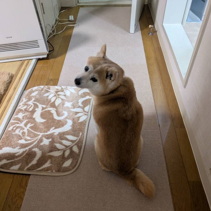 9a3d5aad addb 4b9f b70a 8c3d5cbbcf4b 1772276105306