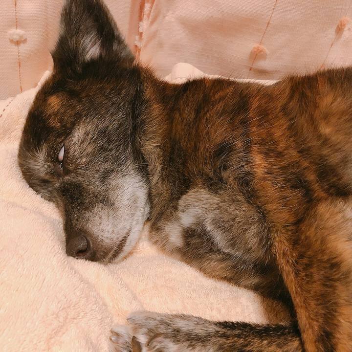 9a3d729e 28b8 4d95 a116 f392349721f0 1656925555501