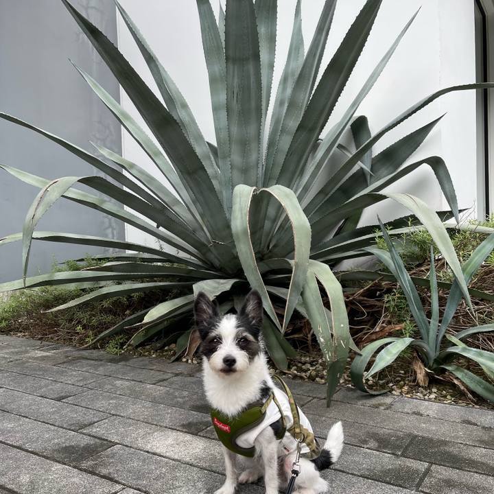 9a3dc32a bf15 4ec9 9101 739e4b1b3fc5 1663808292384