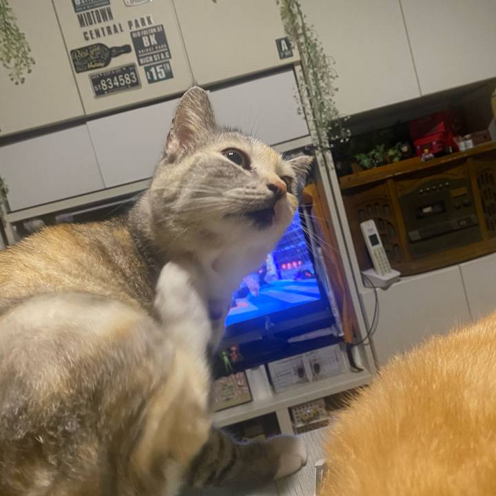 9a3dd8ad 310d 4e06 ad3b 9169dfd87da6 1628960090581