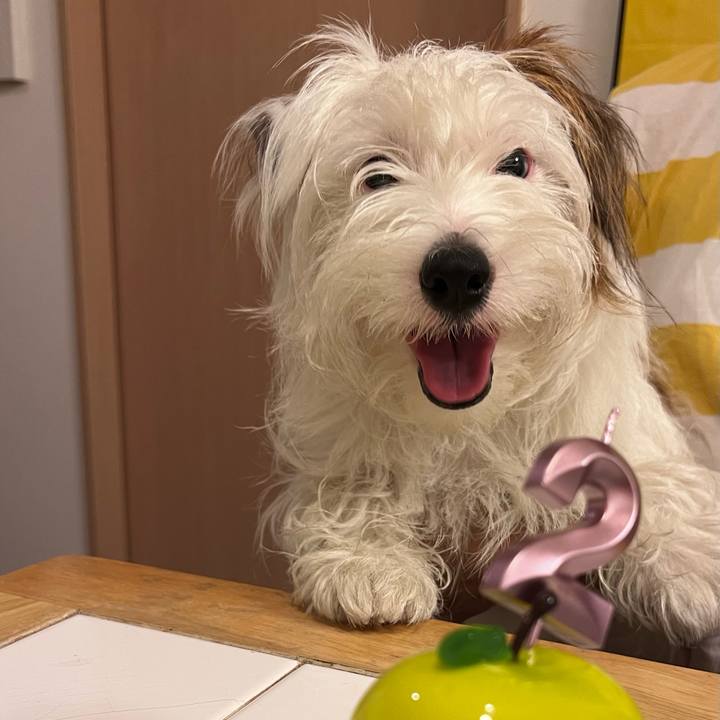 9a3e5306 5c83 4676 98f8 35680fbab39a 1749996219214