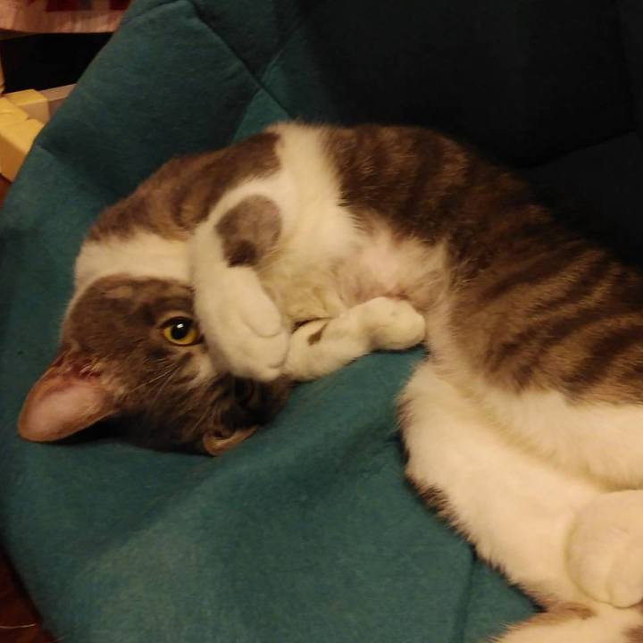 9a3e62e7 4b7e 4cad bb95 c95c39a46a52 1586348878492