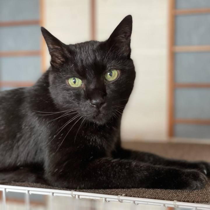 9a3e7e80 90aa 47e0 8b96 c539e90b809e 1625017764273