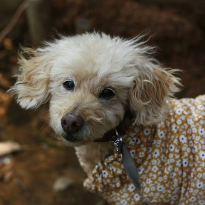 9a3e971c e897 421b 805a f95113aceef3 1615978256122