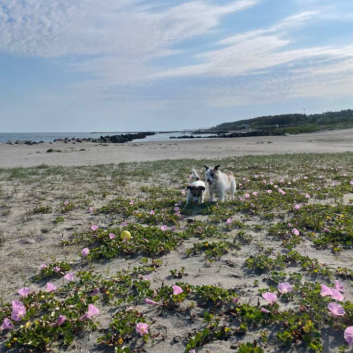 9a3e9dba 0f0f 4c69 a18c 7433990f3e13 1749080819906