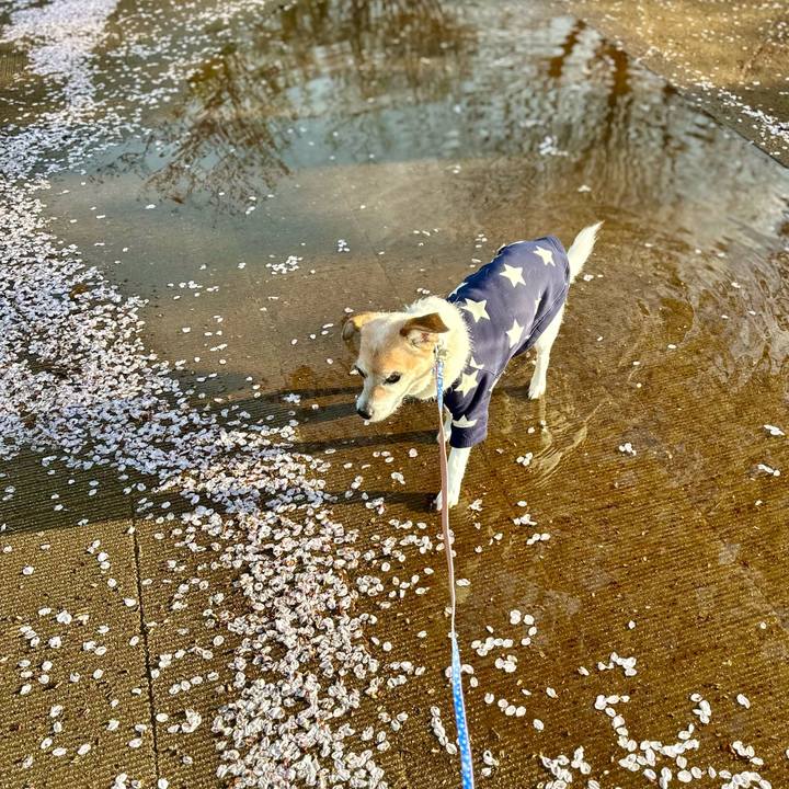 9a3ec9db a577 4a15 b40e ec16c6501297 1680132613254