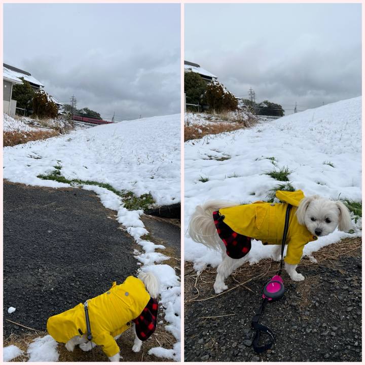 9a3f3437 e376 404c 97f6 d171b9ac5282 1706156445710