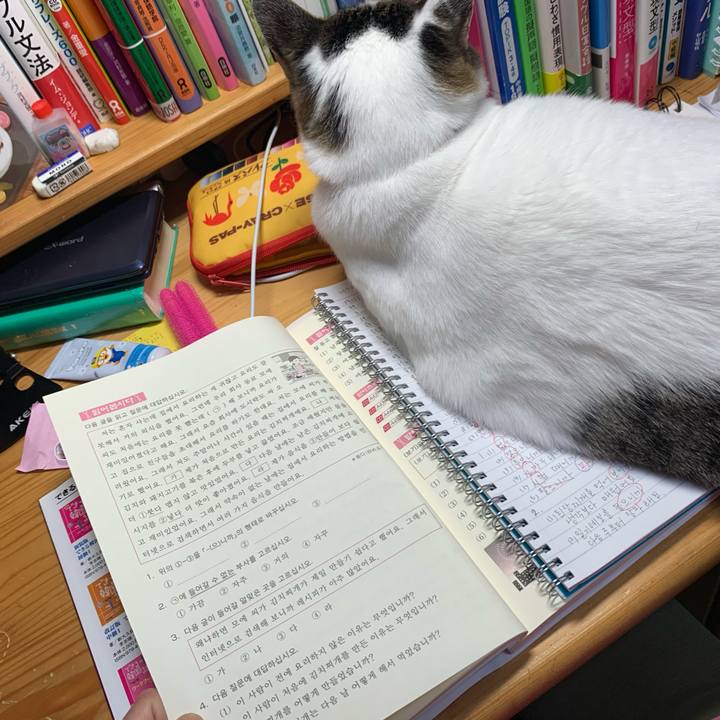 9a3f4da8 f4e2 4e6b 941e 614e59129e9f 1620477488763