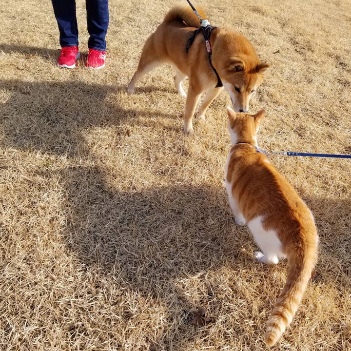 9a3f541c 1b87 4625 baa9 ce77dbc7bf10 1546768686618