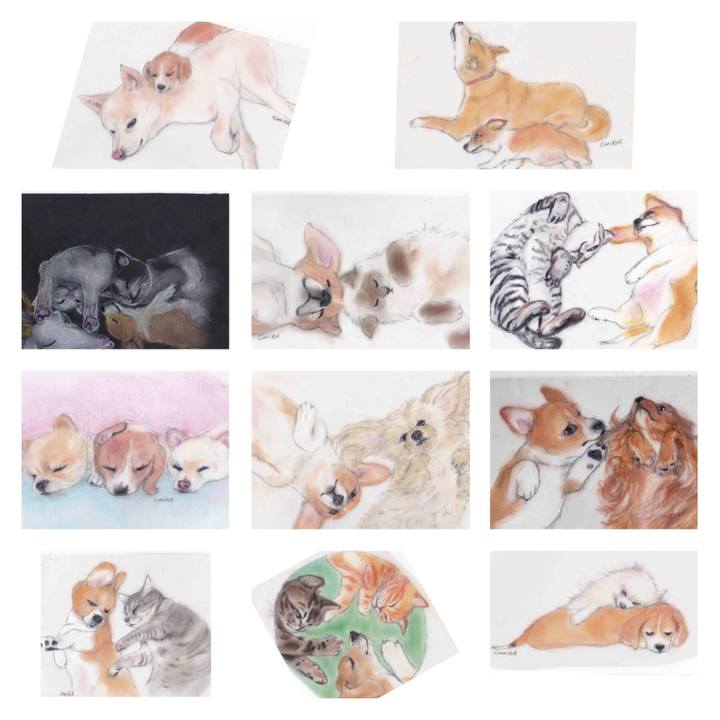 9a3f698f c19f 41f0 b7bb e269632dabcc 1592292457622