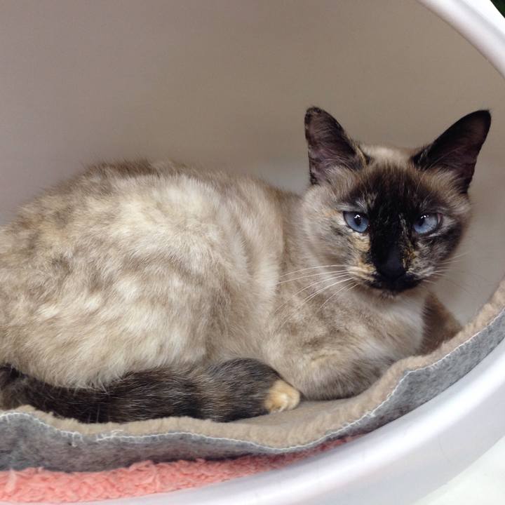 9a3fc00e a00c 40b8 b075 a5244876a725 1519865056786