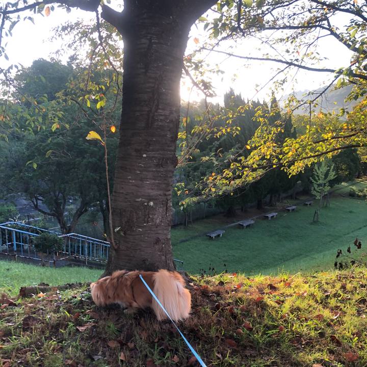 9a3fcb4b 45a1 4af3 8257 8f13b6a8f98d 1537654911293