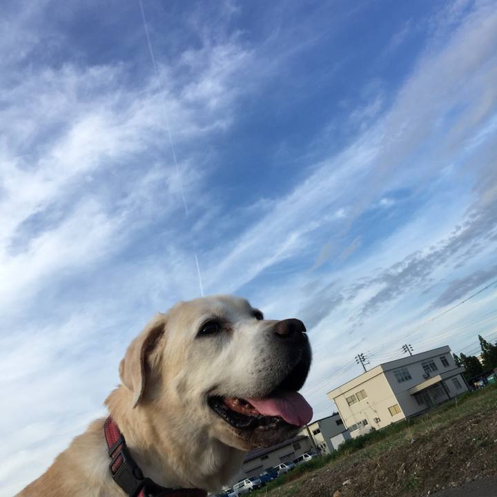 9a3febea 0346 4d2a 95d7 b6110f71427b 1530438279516