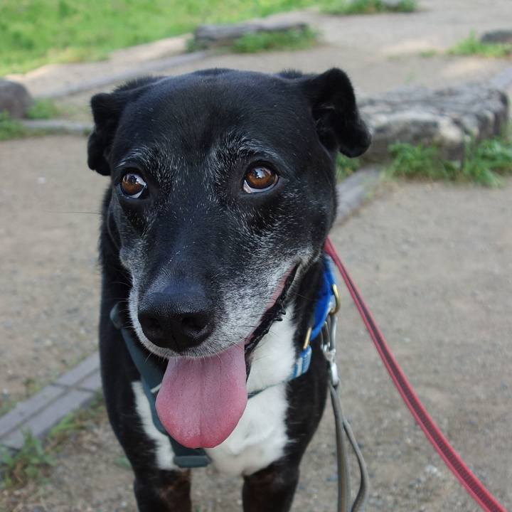 9a402110 27a5 44cf 84a6 237d7660c8a4 1751585437854