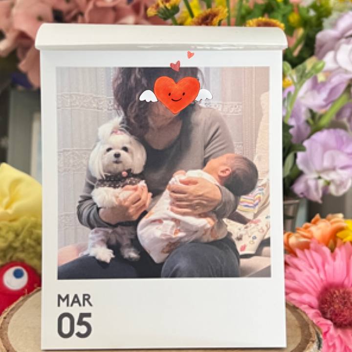 9a402a5e 34a5 4b94 887b 0d0786645549 1772794500201