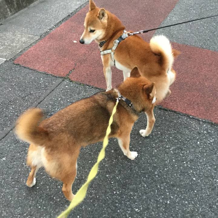 9a402cf0 78ec 40d7 aea9 382607a00e5d 1607075317910