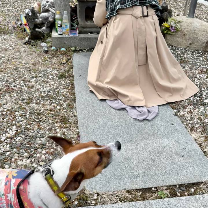 9a402e09 dafc 47ab 970b 0301dbea15ab 1647761346385