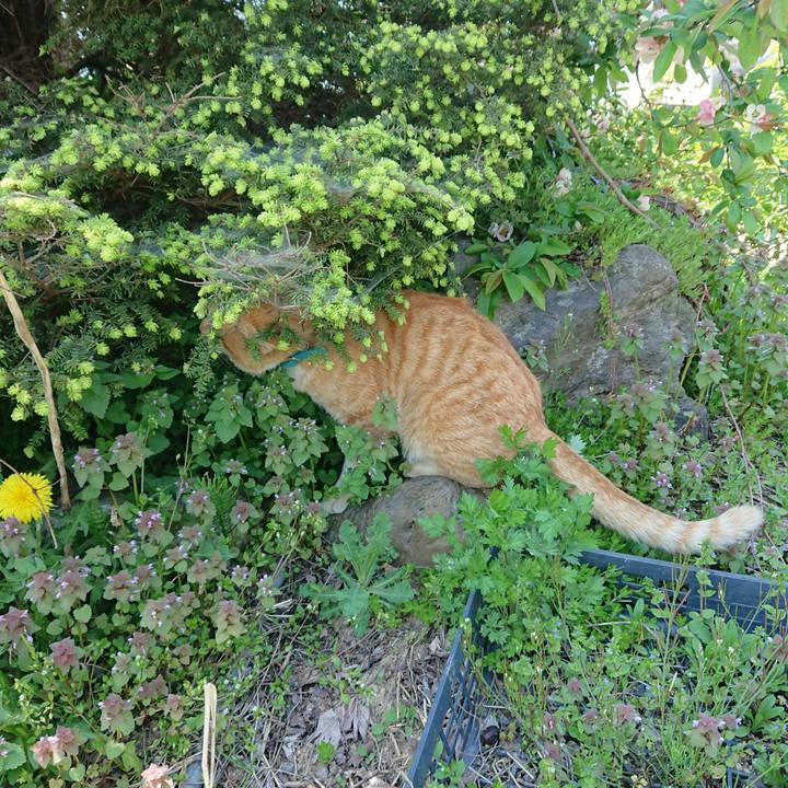 9a402edc 19b1 4c88 81fa a3d1bb687678 1557024876658