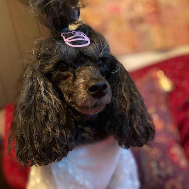 9a4032f5 79e6 4b0d b667 17b5c083bc56 1714517904042