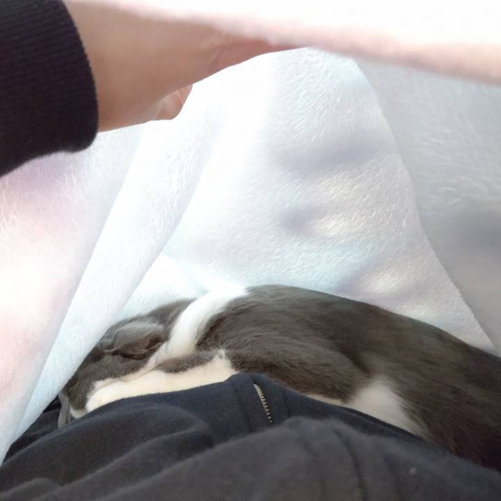 9a405221 7ed1 4efb 8205 a91ecbc6f432 1573895029638