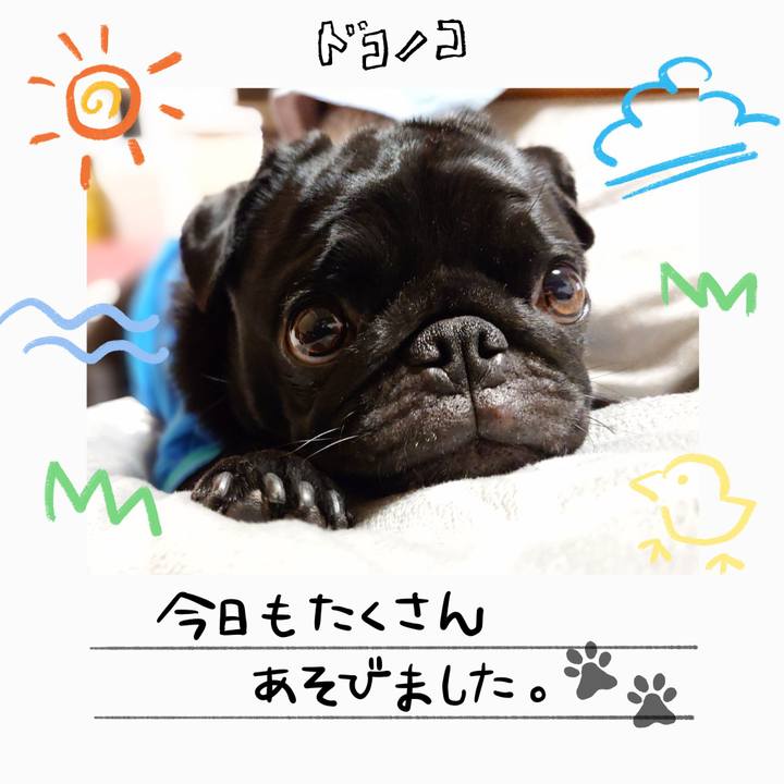 9a4088f5 a4eb 461f 90c8 29e7579b5af4 1755086512291