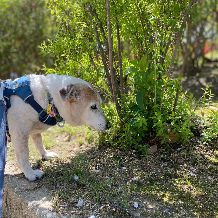 9a418fd7 ccaa 49b0 8be6 59cfecfe6499 1681041607658