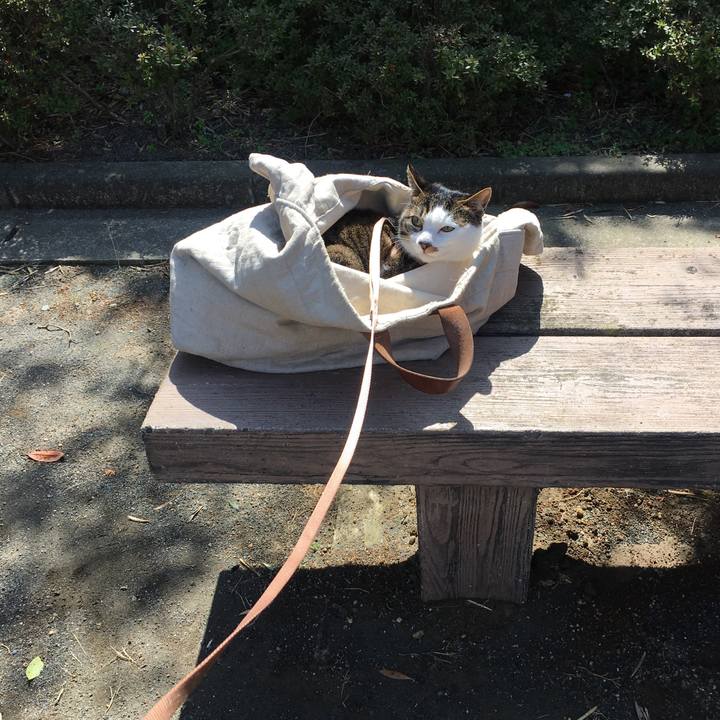 9a41aede 7f45 4337 9db0 ea10b73cef6d 1520135306139