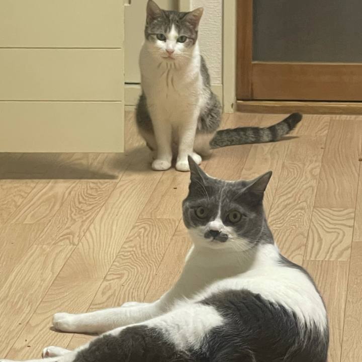 9a41f2ad 8054 43cf 9fec d41578025e91 1624527097592