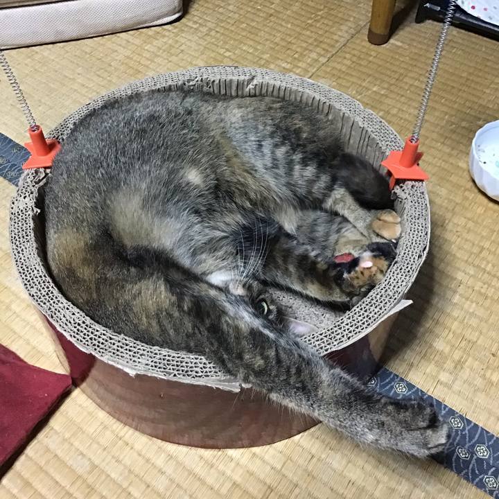 9a41f8f3 cb89 4dc4 ade8 5428e846d882 1661262777853