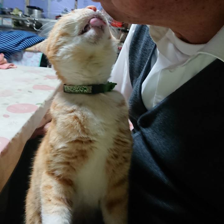 9a4210e9 70d4 4996 9e65 73b40246235f 1584349253799