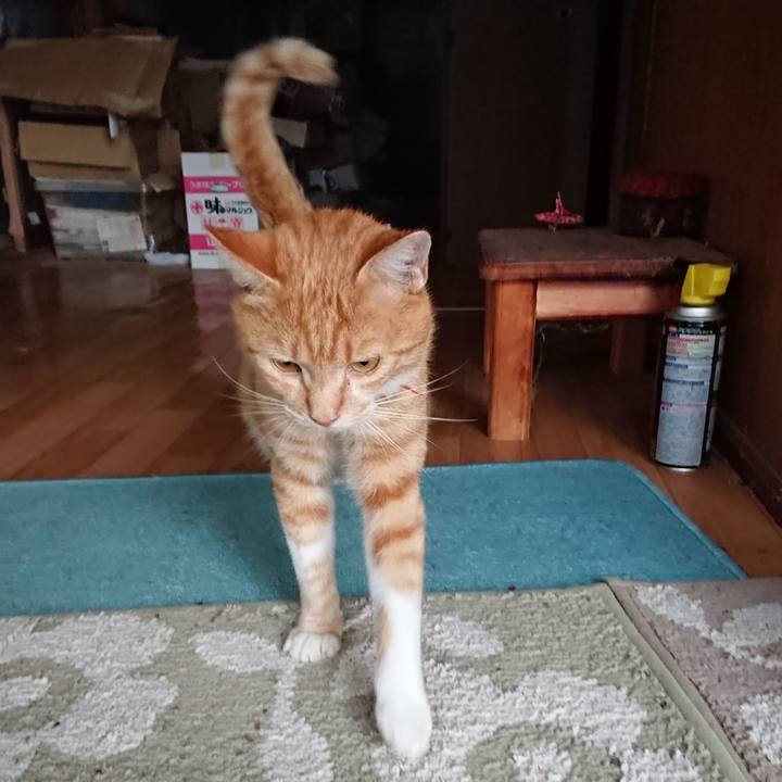 9a42154b dcfe 4014 8f24 93d1055c0c9b 1570861281566