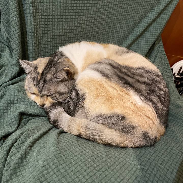 9a421670 582a 4c11 8d94 9f6d7da44753 1646574295003