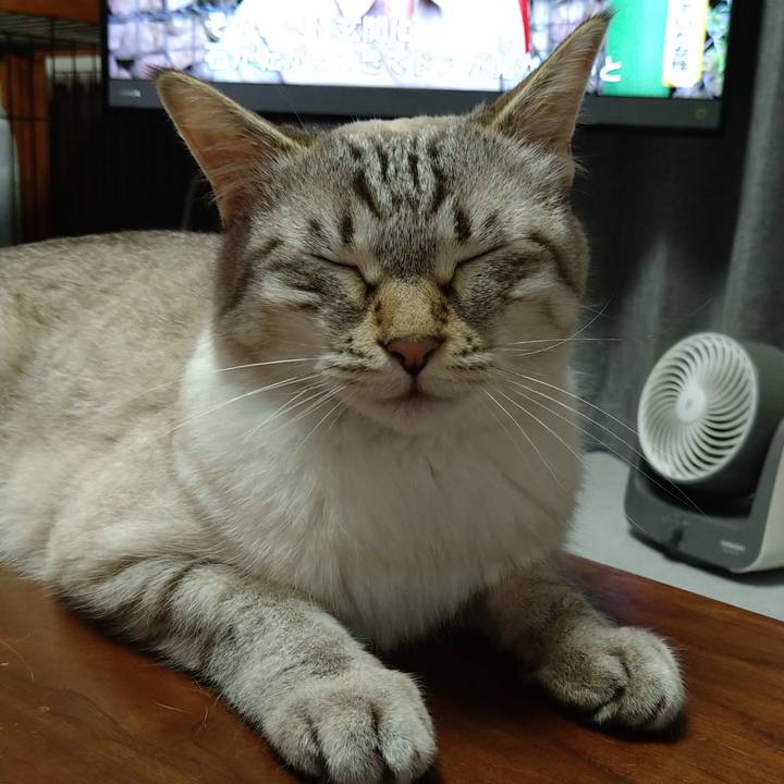 9a4220db ab01 4c29 938e 8c293f85992f 1625651349313