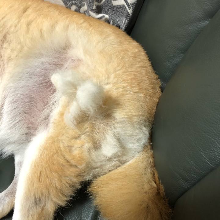 9a427d56 e0ea 4a08 a2be e8b7c66a5364 1609248992916