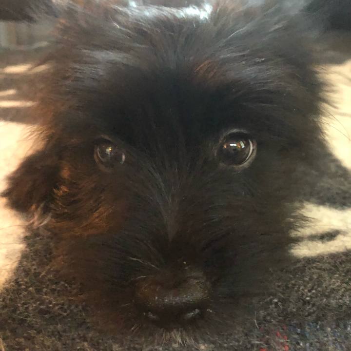 9a42a731 5b7b 473c 990b df543c7f3413 1530143584922