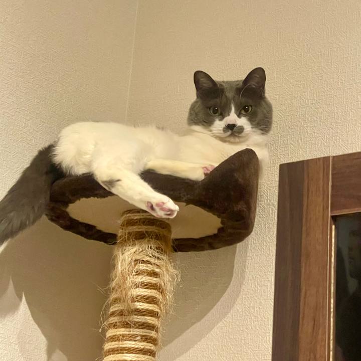 9a42aa56 cad5 4d93 9436 4da4994d9a64 1744133782933