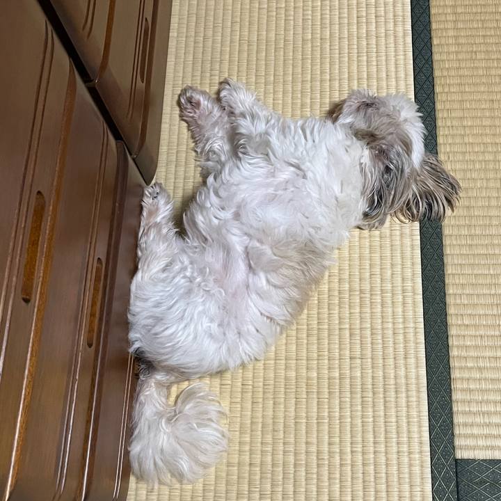 9a42b445 dbab 4685 aefa fea28e71cc4b 1725188854493