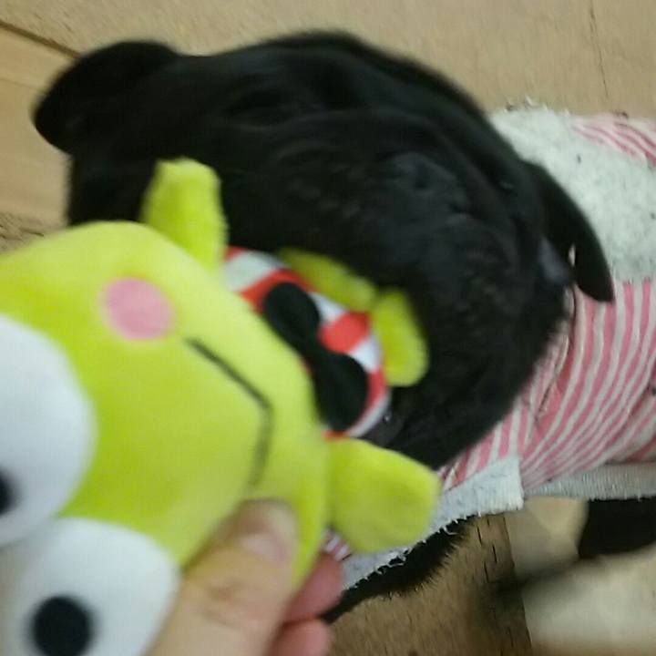 9a42f457 2cce 4929 93dc 0a8a9088b264 1543049785121