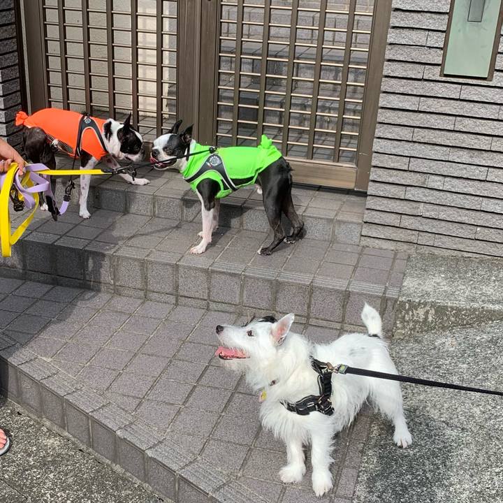 9a42f88e 9ea4 44f3 ab6c 78422dc4f3ac 1661298182689