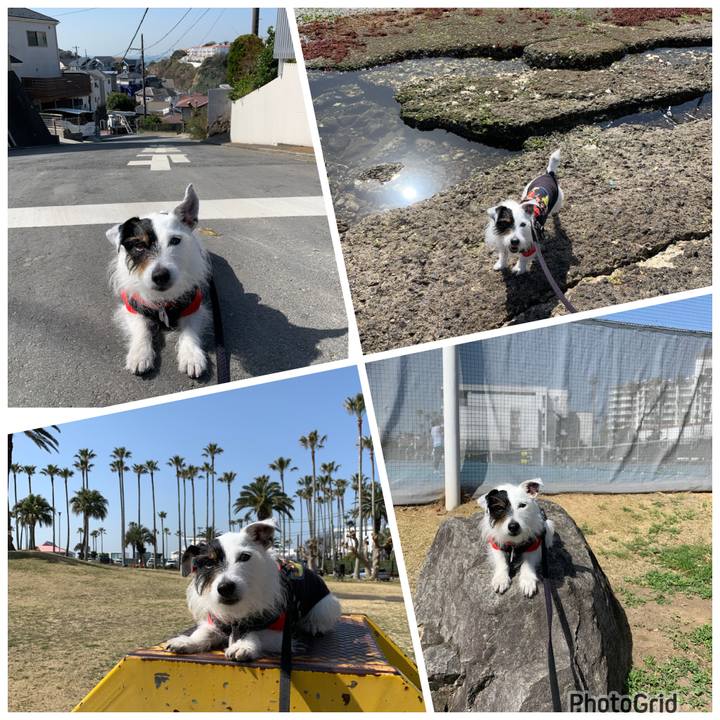 9a43055a 4de2 4a17 8986 f66ddd6ac85e 1678497943161